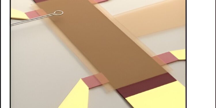 Lifting the veil of topological censorship