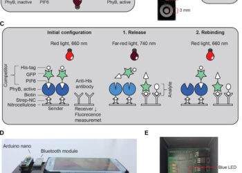 Light-controlled bioassays could diagnose diseases more easily and cheaply