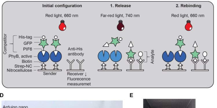 Light-controlled bioassays could diagnose diseases more easily and cheaply