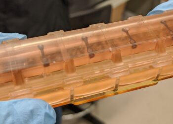 Low gravity in space travel weakens and disrupts the normal rhythm of heart muscle cells