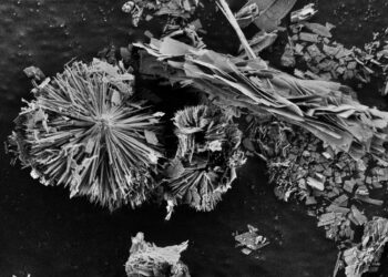 MXenes are found to be catalysts for the oxygen evolution reaction
