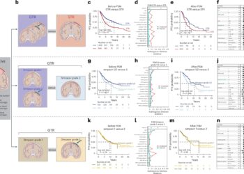 Molecular profiling may improve meningioma decision making