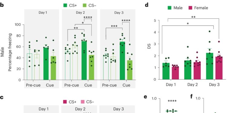 Mouse study finds sex differences in how brain handles threats