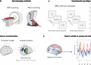 Music can reveal which areas of the brain are affected by aging
