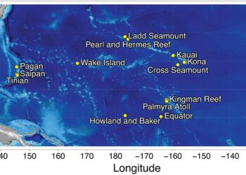 Mysterious Pacific Ocean Sounds Identified as Whales: New AI App Helps Track Them