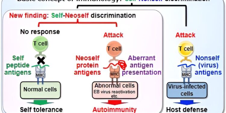 Neoautoimmune antigens induce autoimmune response in lupus
