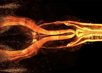 Neuroscientists discover complex genetic programs behind our movements