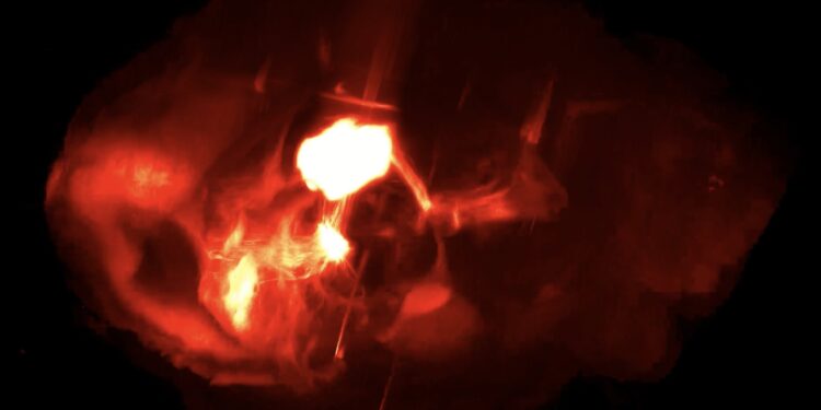 Neuroscientists discover role of serotonin in resilience