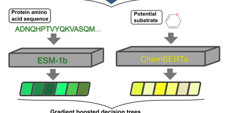 New AI model can predict substrate movement into and out of cells