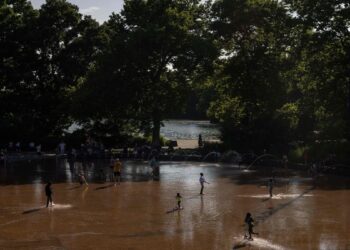 New York: Arrested for assaulting four women by groping their buttocks