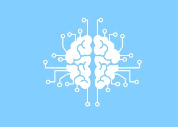New algorithm improves bipartite matching by mimicking the nervous system