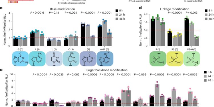 New approach could produce modified mRNAs to treat a wide range of diseases
