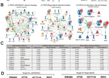 New combination therapy could offer safer, more effective treatment for colorectal cancer