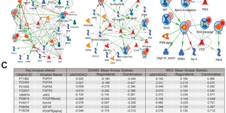New combination therapy could offer safer, more effective treatment for colorectal cancer