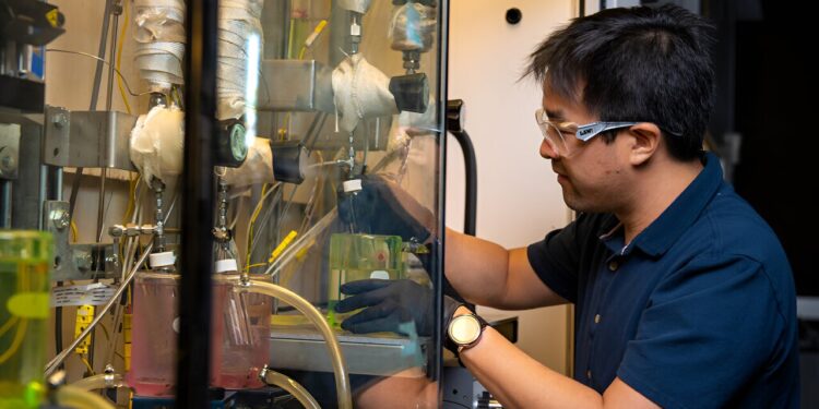 New continuous reaction process can help turn plant waste into sustainable aviation fuel