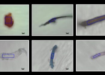 New detection technique detects microplastics in coral skeletons