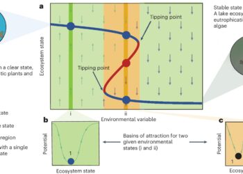 New study reveals role of evolution in ecosystem stability and tipping points