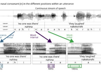 New study shows initial consonants of words are systematically lengthened in various languages