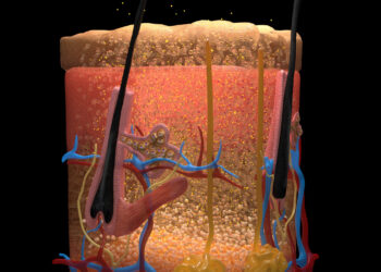 New technique makes skin invisible