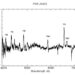Observations explore nature of millisecond transitional pulsar PSR J1023+0038