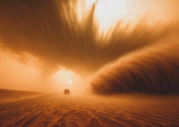 Ocean life thrives on Saharan dust blown thousands of miles away