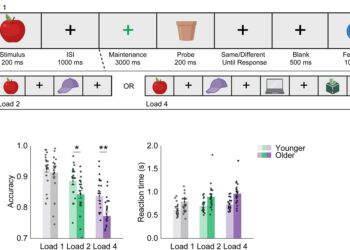 Old In, New Out: The Science Behind Memory Clutter and Aging