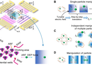 One-of-a-kind tool lets scientists manipulate cells without touching them