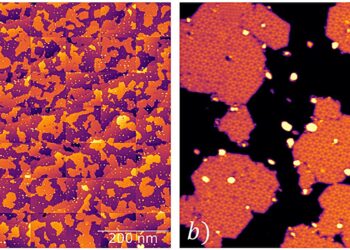 Open-source software streamlines 2D materials research through scanning tunneling microscope automation