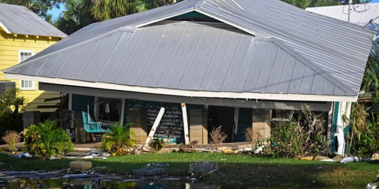 Palm trees at 45 degrees and green lightning: “I have never heard wind like that,” says a Quebecer in Florida