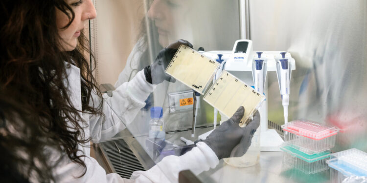 Phage editing technology could lead to alternative treatments for antibiotic-resistant bacteria