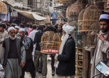 Positive Indicators in Afghanistan.. Have the Taliban Succeeded Economically? | Economy