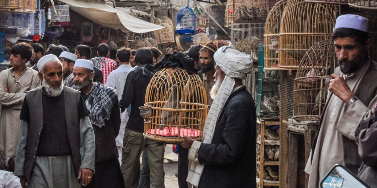 Positive Indicators in Afghanistan.. Have the Taliban Succeeded Economically? | Economy