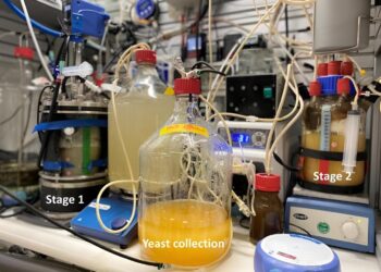 Powered by renewable energy, microbes transform CO₂ into proteins and vitamins