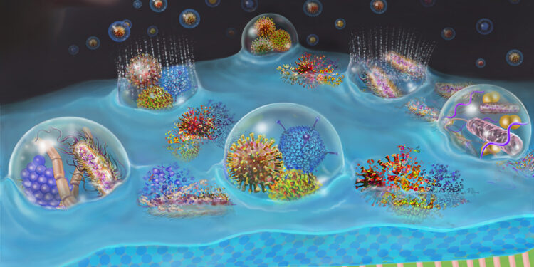 Preclinical studies suggest drug-free nasal spray may prevent respiratory infections