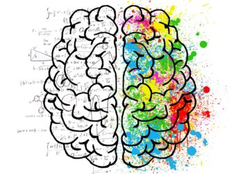 Psychedelics stimulate hippocampal cells to reduce anxiety, study finds