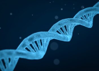 Rare genetic variants linked to bicuspid aortic valve disease identified in young adults