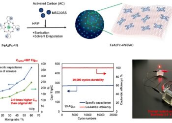 Realization of a supercapacitor using the “molecular coating” approach