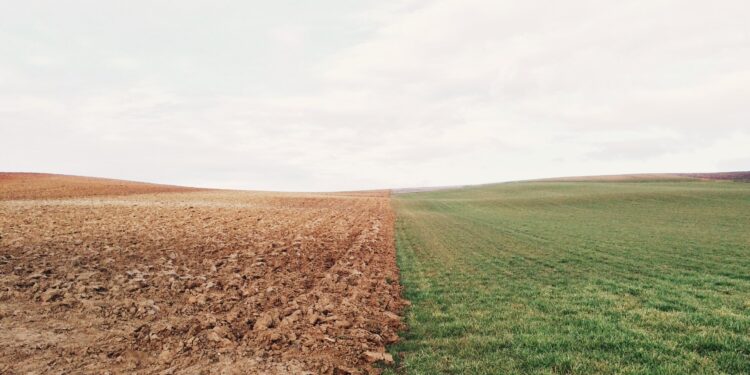 Report outlines path to prosperity for planet and people if Earth’s essential resources are better shared