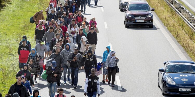 Research reveals the positive impact of immigrants on the budgets of Western countries economy