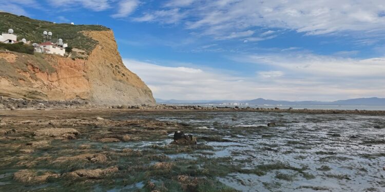 Researcher helps develop new technique to explore ocean microbes