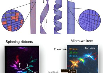 Researchers convert chemical energy into rotational energy at the supramolecular level