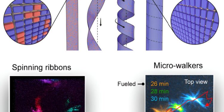 Researchers convert chemical energy into rotational energy at the supramolecular level