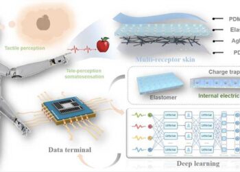Researchers design platypus-inspired multi-receptor bionic skin