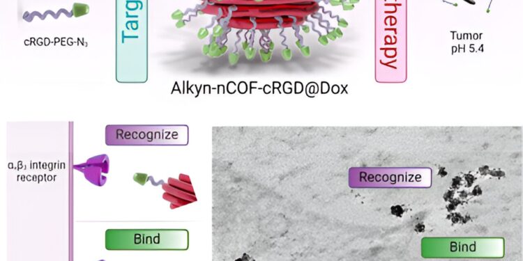Researchers develop novel covalent organic structures for precise delivery of cancer treatment