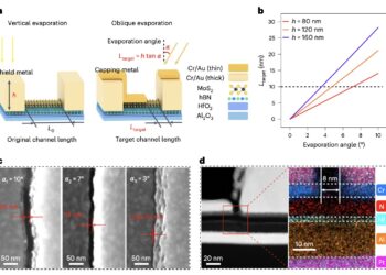Researchers develop scalable approach to integrating ultrafast 2D flash memories