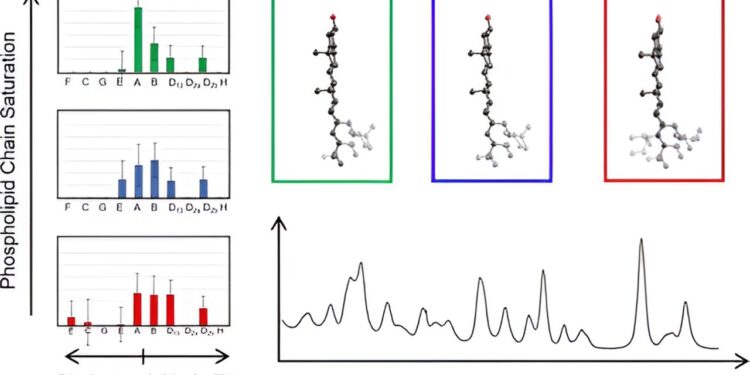 Researchers discover key information about the structure of cholesterol in cell membranes