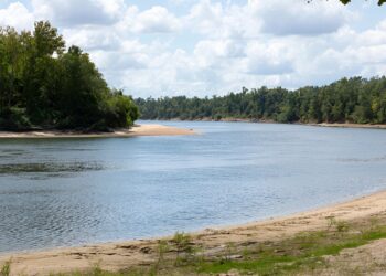 Researchers examine impact of drought and water volume on Apalachicola River nutrients