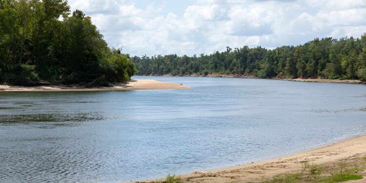 Researchers examine impact of drought and water volume on Apalachicola River nutrients