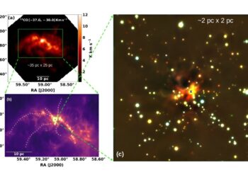 Researchers explore nature of nascent star cluster