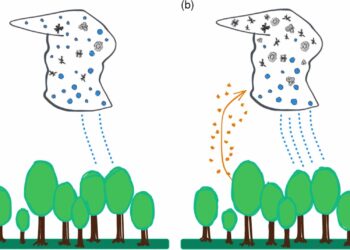 Researchers have found that pollen influences cloud formation and precipitation